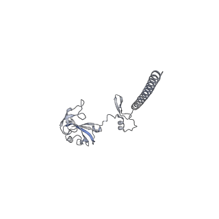 16541_8cbj_G_v1-0
Cryo-EM structure of Otu2-bound cytoplasmic pre-40S ribosome biogenesis complex