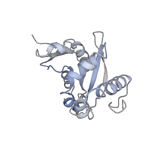 16541_8cbj_H_v1-0
Cryo-EM structure of Otu2-bound cytoplasmic pre-40S ribosome biogenesis complex