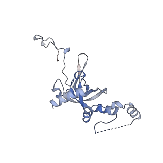 16541_8cbj_I_v1-0
Cryo-EM structure of Otu2-bound cytoplasmic pre-40S ribosome biogenesis complex