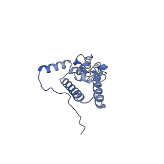 16541_8cbj_J_v1-0
Cryo-EM structure of Otu2-bound cytoplasmic pre-40S ribosome biogenesis complex
