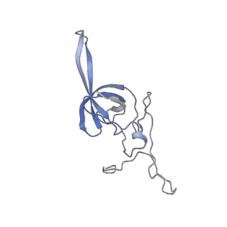 16541_8cbj_L_v1-0
Cryo-EM structure of Otu2-bound cytoplasmic pre-40S ribosome biogenesis complex