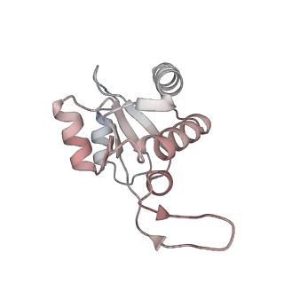 16541_8cbj_M_v1-0
Cryo-EM structure of Otu2-bound cytoplasmic pre-40S ribosome biogenesis complex