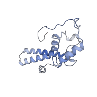 16541_8cbj_N_v1-0
Cryo-EM structure of Otu2-bound cytoplasmic pre-40S ribosome biogenesis complex