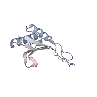 16541_8cbj_O_v1-0
Cryo-EM structure of Otu2-bound cytoplasmic pre-40S ribosome biogenesis complex