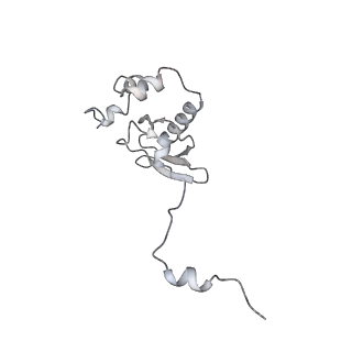 16541_8cbj_P_v1-0
Cryo-EM structure of Otu2-bound cytoplasmic pre-40S ribosome biogenesis complex