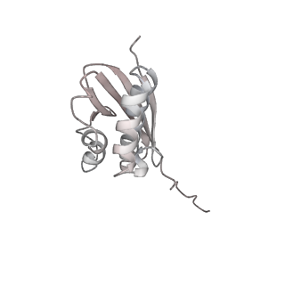16541_8cbj_Q_v1-0
Cryo-EM structure of Otu2-bound cytoplasmic pre-40S ribosome biogenesis complex