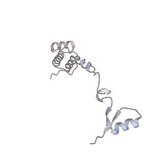 16541_8cbj_R_v1-0
Cryo-EM structure of Otu2-bound cytoplasmic pre-40S ribosome biogenesis complex