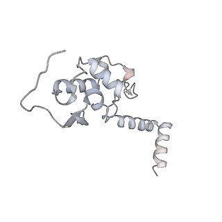 16541_8cbj_S_v1-0
Cryo-EM structure of Otu2-bound cytoplasmic pre-40S ribosome biogenesis complex