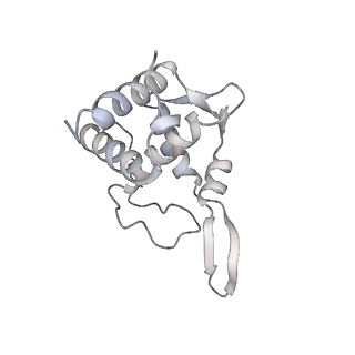 16541_8cbj_T_v1-0
Cryo-EM structure of Otu2-bound cytoplasmic pre-40S ribosome biogenesis complex