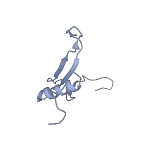 16541_8cbj_V_v1-0
Cryo-EM structure of Otu2-bound cytoplasmic pre-40S ribosome biogenesis complex
