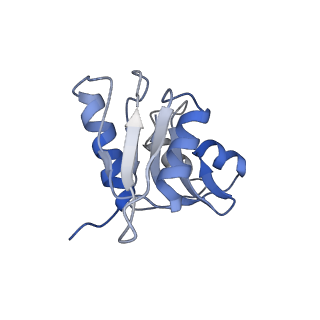 16541_8cbj_W_v1-0
Cryo-EM structure of Otu2-bound cytoplasmic pre-40S ribosome biogenesis complex