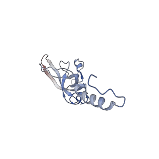 16541_8cbj_X_v1-0
Cryo-EM structure of Otu2-bound cytoplasmic pre-40S ribosome biogenesis complex