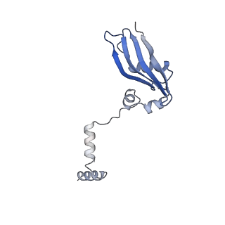 16541_8cbj_Y_v1-0
Cryo-EM structure of Otu2-bound cytoplasmic pre-40S ribosome biogenesis complex