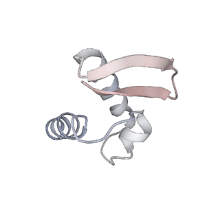 16541_8cbj_Z_v1-0
Cryo-EM structure of Otu2-bound cytoplasmic pre-40S ribosome biogenesis complex