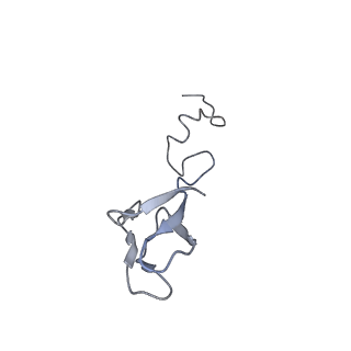 16541_8cbj_b_v1-0
Cryo-EM structure of Otu2-bound cytoplasmic pre-40S ribosome biogenesis complex