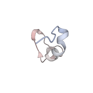 16541_8cbj_d_v1-0
Cryo-EM structure of Otu2-bound cytoplasmic pre-40S ribosome biogenesis complex