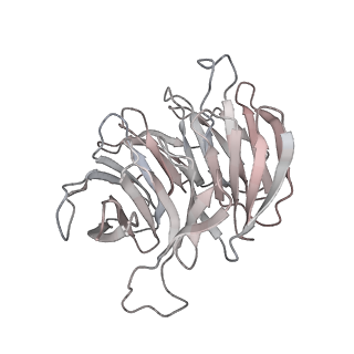 16541_8cbj_g_v1-0
Cryo-EM structure of Otu2-bound cytoplasmic pre-40S ribosome biogenesis complex
