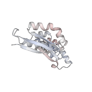 16541_8cbj_h_v1-0
Cryo-EM structure of Otu2-bound cytoplasmic pre-40S ribosome biogenesis complex