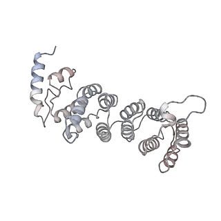16541_8cbj_i_v1-0
Cryo-EM structure of Otu2-bound cytoplasmic pre-40S ribosome biogenesis complex