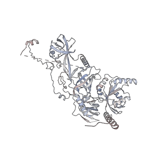 16541_8cbj_k_v1-0
Cryo-EM structure of Otu2-bound cytoplasmic pre-40S ribosome biogenesis complex