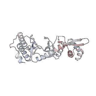16541_8cbj_l_v1-0
Cryo-EM structure of Otu2-bound cytoplasmic pre-40S ribosome biogenesis complex