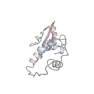 16541_8cbj_y_v1-0
Cryo-EM structure of Otu2-bound cytoplasmic pre-40S ribosome biogenesis complex