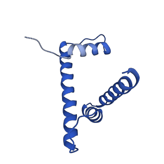16546_8cbn_D_v1-0
structure of LEDGF/p75 PWWP domain bound to the H3K36 trimethylated dinucleosome