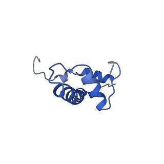 16546_8cbn_F_v1-0
structure of LEDGF/p75 PWWP domain bound to the H3K36 trimethylated dinucleosome
