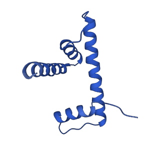16546_8cbn_H_v1-0
structure of LEDGF/p75 PWWP domain bound to the H3K36 trimethylated dinucleosome
