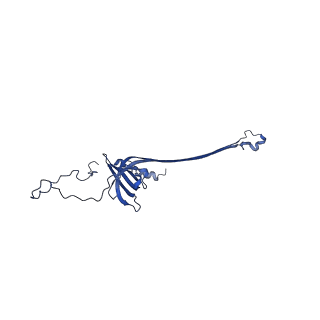 30335_7cbl_A_v1-2
Cryo-EM structure of the flagellar LP ring from Salmonella