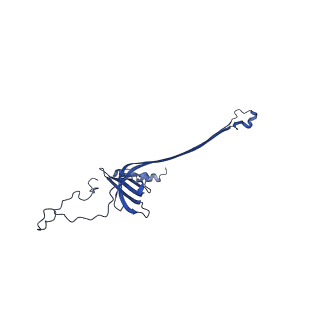 30335_7cbl_B_v1-2
Cryo-EM structure of the flagellar LP ring from Salmonella