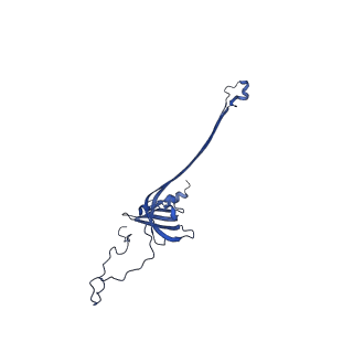 30335_7cbl_D_v1-2
Cryo-EM structure of the flagellar LP ring from Salmonella