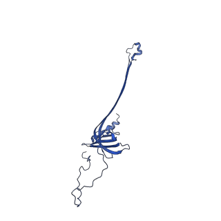 30335_7cbl_E_v1-2
Cryo-EM structure of the flagellar LP ring from Salmonella