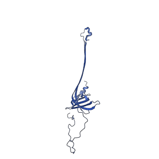 30335_7cbl_F_v1-2
Cryo-EM structure of the flagellar LP ring from Salmonella
