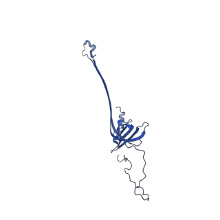 30335_7cbl_H_v1-2
Cryo-EM structure of the flagellar LP ring from Salmonella