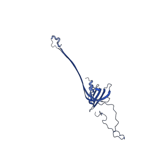 30335_7cbl_I_v1-2
Cryo-EM structure of the flagellar LP ring from Salmonella