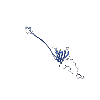 30335_7cbl_J_v1-2
Cryo-EM structure of the flagellar LP ring from Salmonella