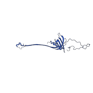 30335_7cbl_M_v1-2
Cryo-EM structure of the flagellar LP ring from Salmonella