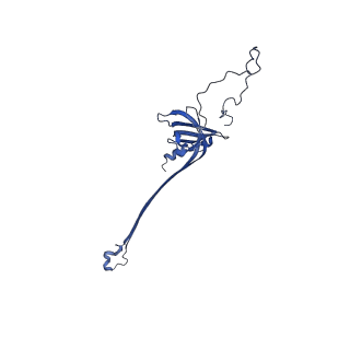 30335_7cbl_Q_v1-2
Cryo-EM structure of the flagellar LP ring from Salmonella
