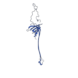 30335_7cbl_T_v1-2
Cryo-EM structure of the flagellar LP ring from Salmonella