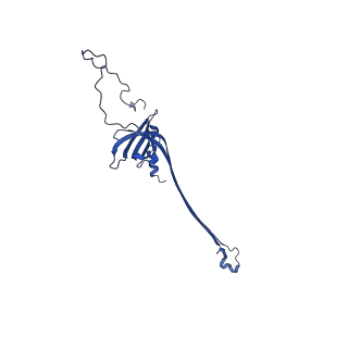 30335_7cbl_V_v1-2
Cryo-EM structure of the flagellar LP ring from Salmonella