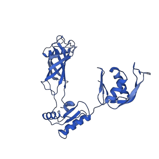 30335_7cbl_a_v1-2
Cryo-EM structure of the flagellar LP ring from Salmonella