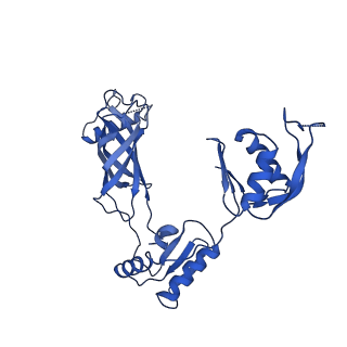 30335_7cbl_b_v1-2
Cryo-EM structure of the flagellar LP ring from Salmonella