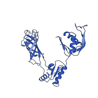 30335_7cbl_c_v1-2
Cryo-EM structure of the flagellar LP ring from Salmonella