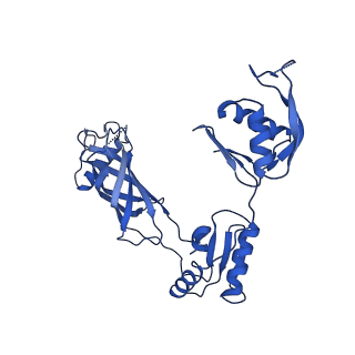 30335_7cbl_d_v1-2
Cryo-EM structure of the flagellar LP ring from Salmonella
