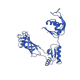 30335_7cbl_e_v1-2
Cryo-EM structure of the flagellar LP ring from Salmonella