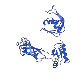 30335_7cbl_f_v1-2
Cryo-EM structure of the flagellar LP ring from Salmonella