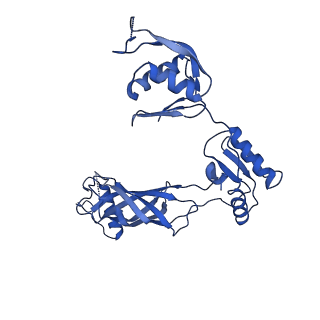 30335_7cbl_h_v1-2
Cryo-EM structure of the flagellar LP ring from Salmonella