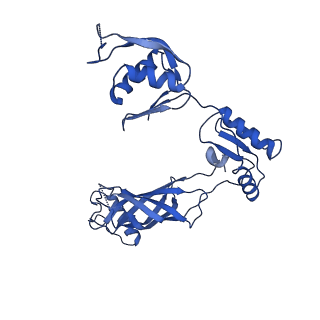 30335_7cbl_i_v1-2
Cryo-EM structure of the flagellar LP ring from Salmonella