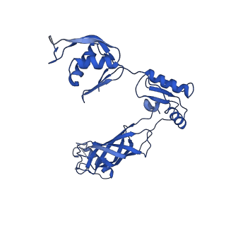 30335_7cbl_j_v1-2
Cryo-EM structure of the flagellar LP ring from Salmonella